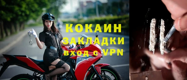 ГАЛЛЮЦИНОГЕННЫЕ ГРИБЫ Чекалин