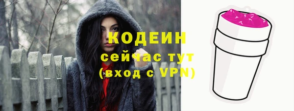 ГАЛЛЮЦИНОГЕННЫЕ ГРИБЫ Чекалин