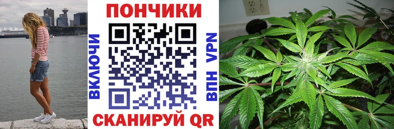 Бошки марихуана тримм  где купить наркоту  Шахунья 